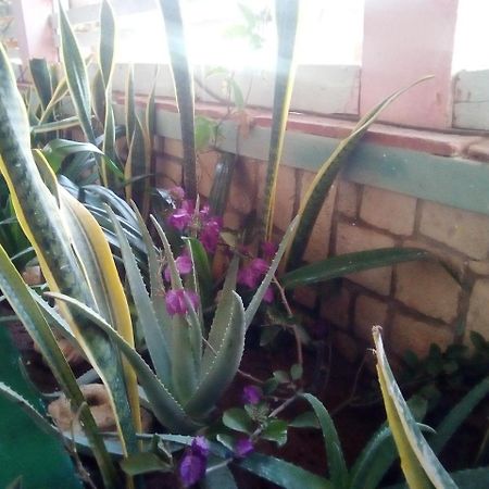 Residence A Paz Sal Rei Ngoại thất bức ảnh