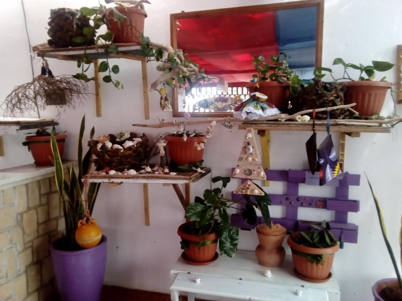 Residence A Paz Sal Rei Ngoại thất bức ảnh