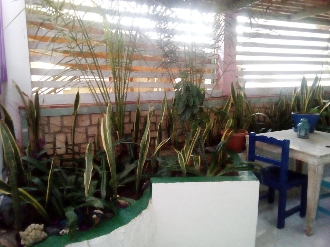 Residence A Paz Sal Rei Ngoại thất bức ảnh